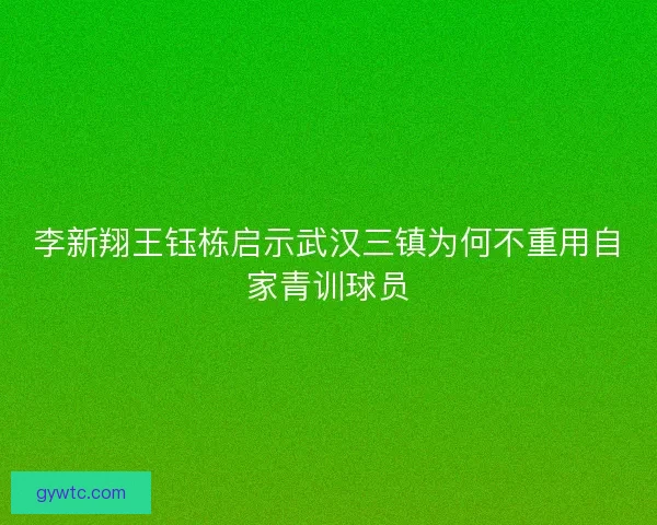 李新翔王钰栋启示武汉三镇为何不重用自家青训球员
