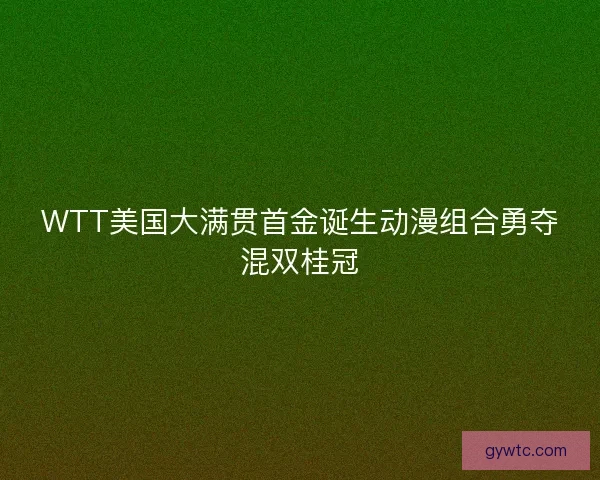WTT美国大满贯首金诞生动漫组合勇夺混双桂冠